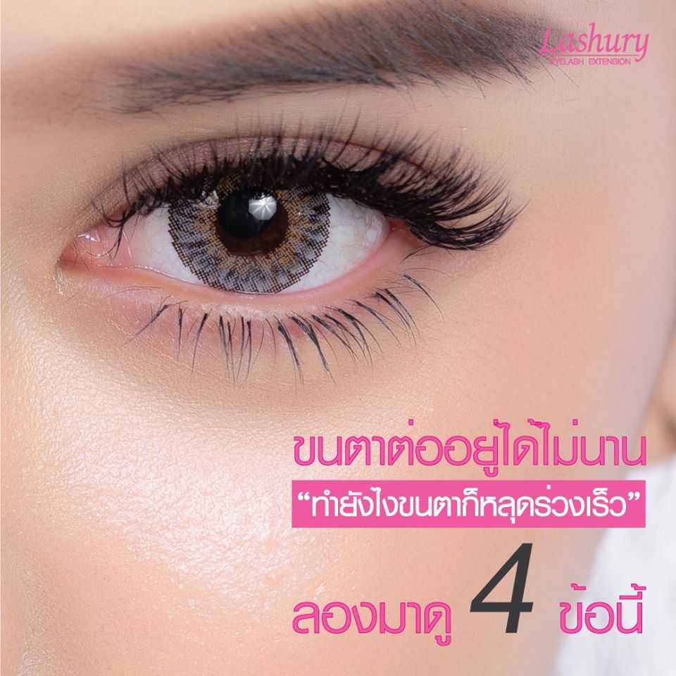 4 เหตุผลที่ทำให้ขนตาต่ออยู่ได้ไม่นาน by Lashury