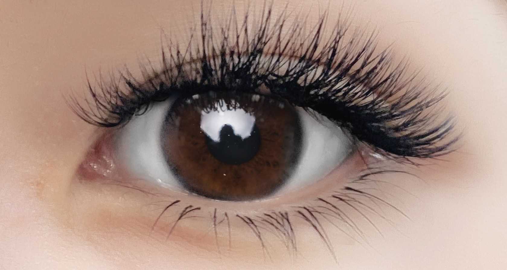 ต่อขนตา Lashury