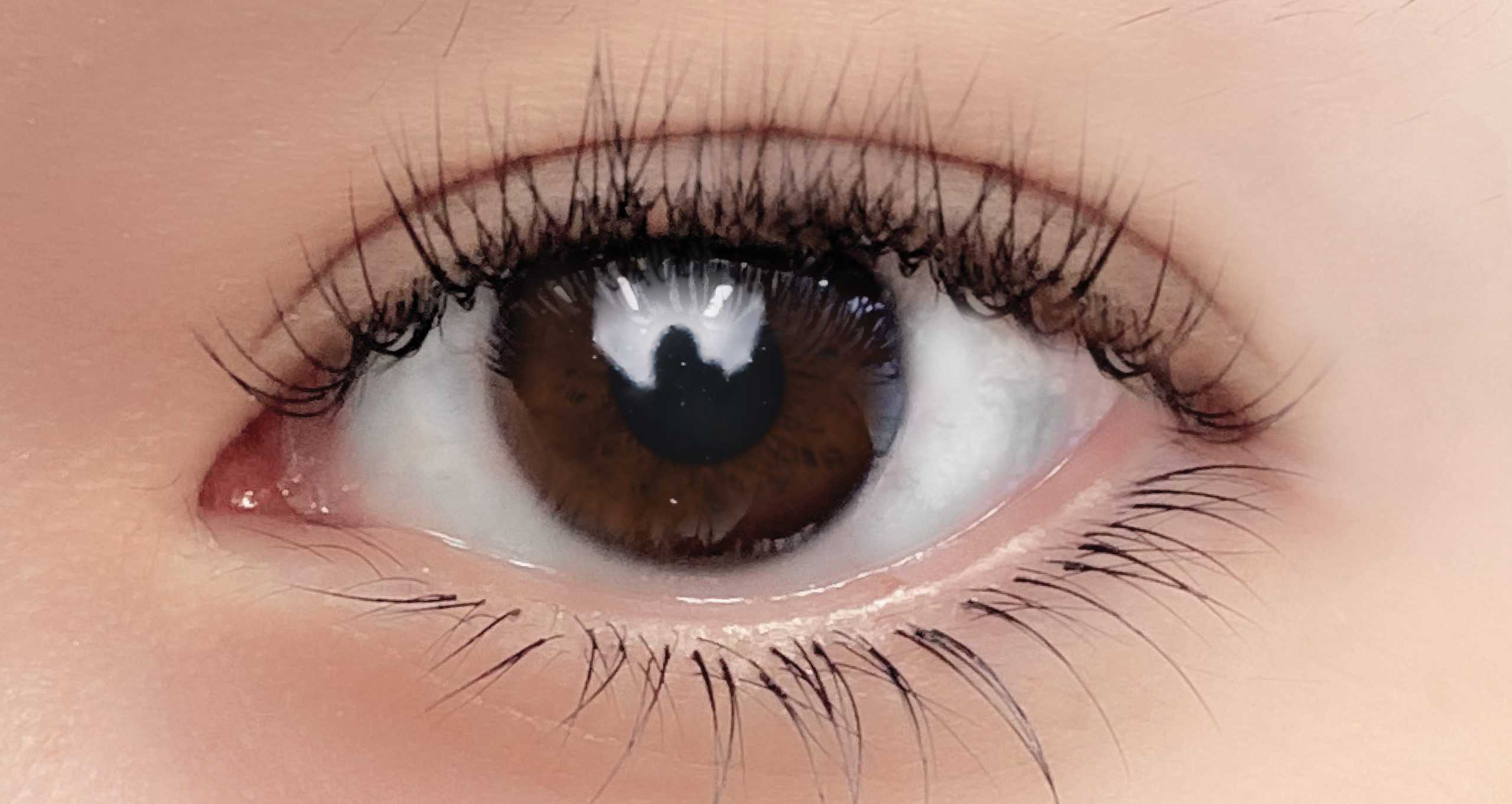 ต่อขนตา Lashury