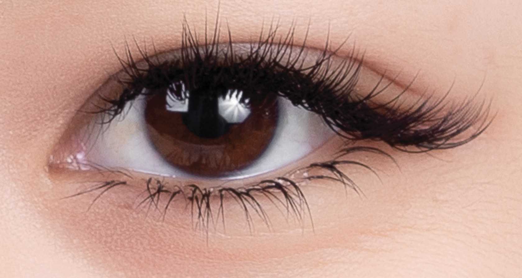 ต่อขนตา Lashury