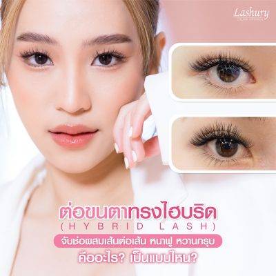 ต่อขนตาสายฝอ