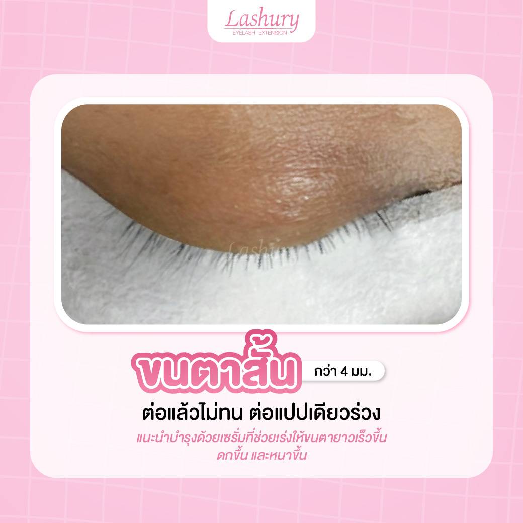 ขนตาสั้น ขนตาแบบไหน ต้องพักบำรุงขนตาก่อนต่อขนตา