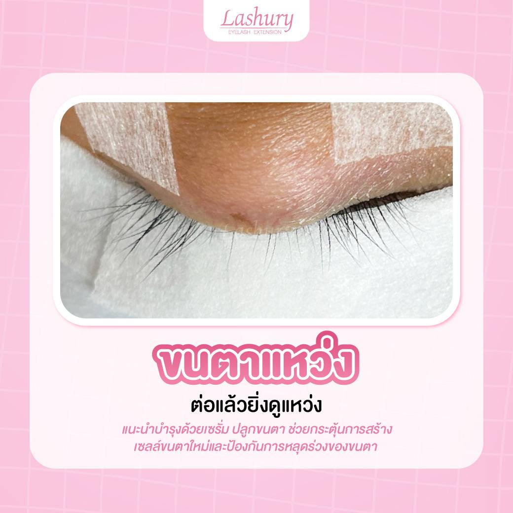 ขนตาแหว่ง ขนตาแบบไหน ต้องพักบำรุงขนตาก่อนต่อขนตา