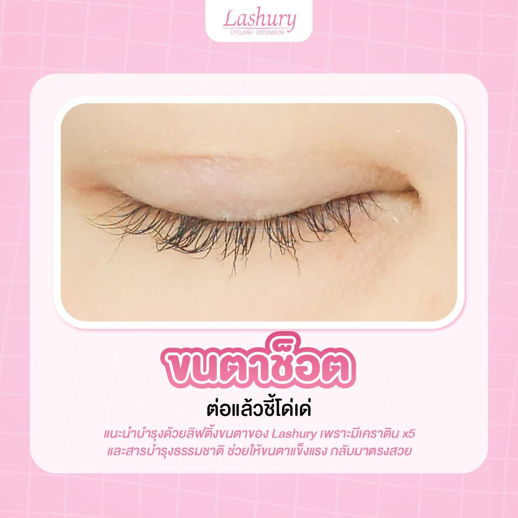 ขนตาช็อต ขนตาช๊อตหัก ขนตาหยิก ขนตาแบบไหน ต้องพักบำรุงขนตาก่อนต่อขนตา