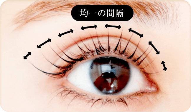 LASHURY のまつげリフトの特長