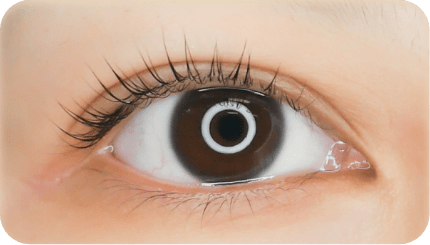 LASHURY のまつげリフトの特長