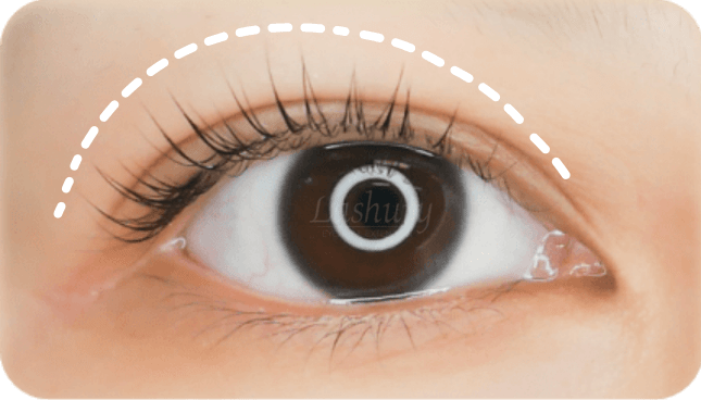 Lashury Signature Lash Lifting