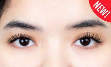 Lashury Wet look doll eyes ต่อขนตาสัญชาติญี่ปุ่น ต่อขนตาวอลลุ่ม ต่อขนตาเส้นต่อเส้น ต่อขนตาเกาหลี ต่อขนตาจับช่อ ต่อขนตาเวทลุค ในรถไฟฟ้า เริ่มต้น 980.-
