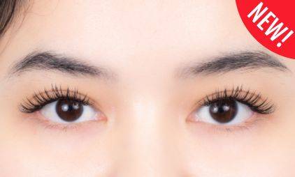 Lashury Wet look cat eyes ต่อขนตาสัญชาติญี่ปุ่น ต่อขนตาวอลลุ่ม ต่อขนตาเส้นต่อเส้น ต่อขนตาเกาหลี ต่อขนตาจับช่อ ต่อขนตาเวทลุค ในรถไฟฟ้า เริ่มต้น 980.-