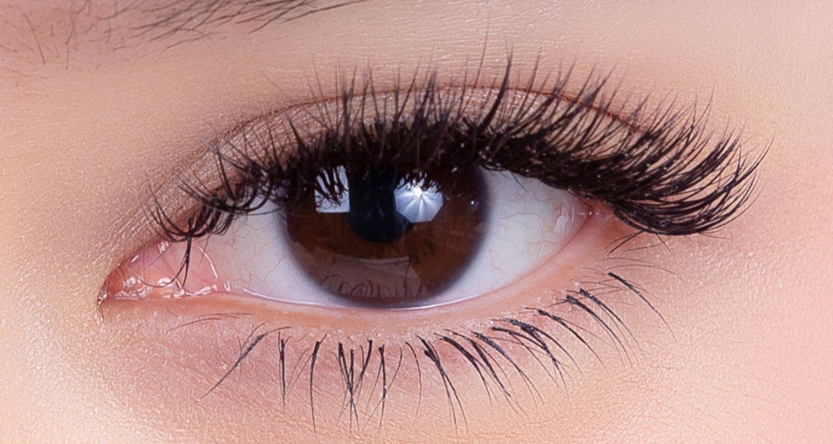 Lashury Volume 4D ต่อขนตาสัญชาติญี่ปุ่น ต่อขนตาวอลลุ่ม ต่อขนตาเส้นต่อเส้น ในรถไฟฟ้า เริ่มต้น 980.-